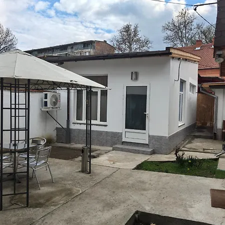 Стая Vidin