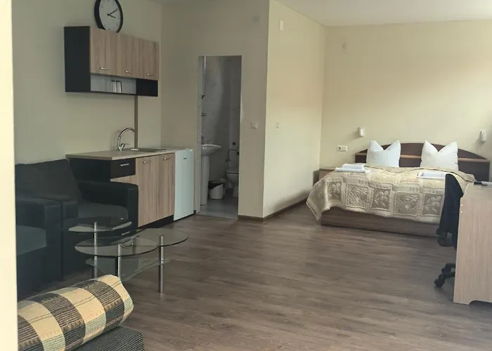 招待所 Zora Mini 3*