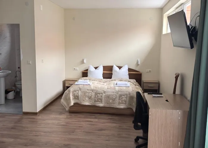 招待所 Zora Mini 维丁